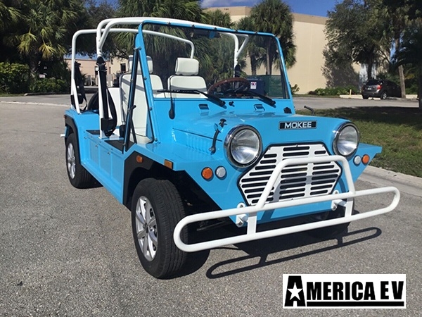 Blue Mokee 4 Passenger Golf Cart affordable golf cart rental, golf cart rent virginia beach